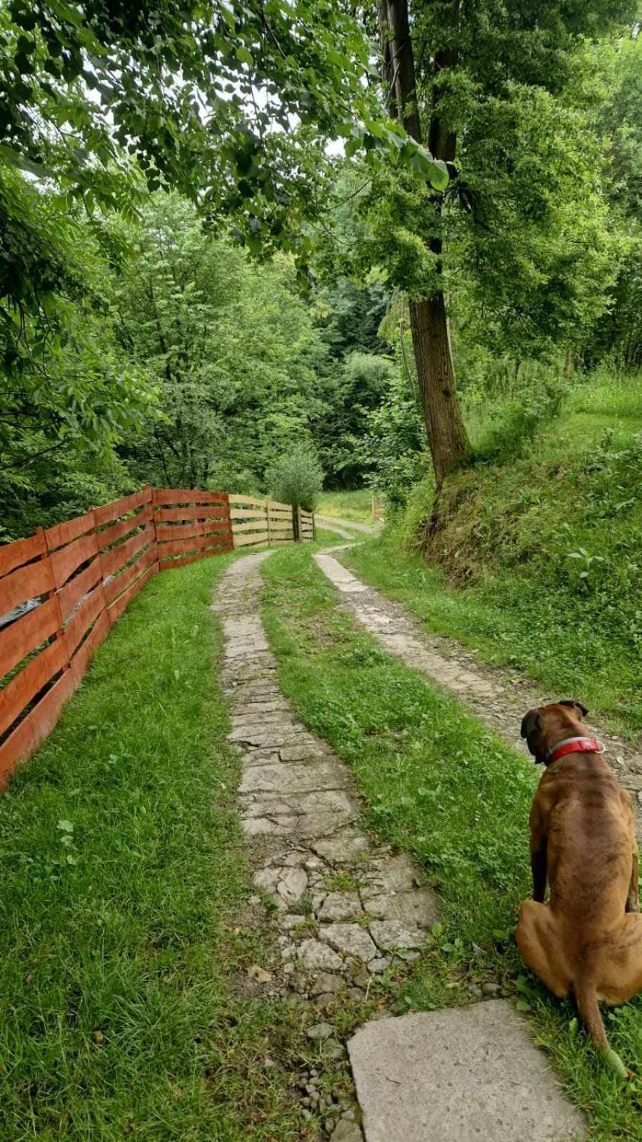 Agroturystyka U Babci Czchow Exterior foto
